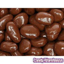 Albanese Milk Chocolate Covered Raisins Candy - Jumbo: 5LB Bag -Candy Promotion Sale albanese milk chocolate covered raisins candy jumbo 5lb bag candy warehouse 4