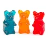 Big Gummy Bears: 6-Piece Pack