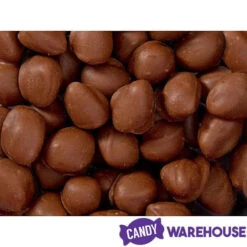 Brach's Double Dippers Milk Chocolate Covered Peanuts: 12-Ounce Bag 8 Brach's Double Dippers Milk Chocolate Covered Peanuts: 12-Ounce Bag -Candy Promotion Sale brach s double dippers milk chocolate covered peanuts 12 ounce bag candy warehouse 4 7a6bd210 22d2 46b8 86dc 4fa28e85147b