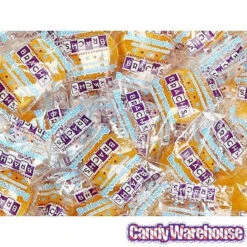 Brach's Sugar Free Butterscotch Candy Discs: 2.6LB Box -Candy Promotion Sale brach s sugar free butterscotch candy discs 2 6lb box candy warehouse 3 b22dd37a 5d07 4847 84ec 20e89561d58b
