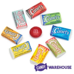 Canel's Miniature Chewing Gum: 220-Piece Bag -Candy Promotion Sale canel s miniature chewing gum 220 piece bag candy warehouse 3