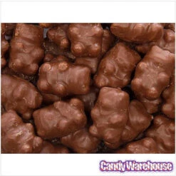 Chocolate Covered Cinnamon Bears: 14-Ounce Bag -Candy Promotion Sale chocolate covered cinnamon bears 14 ounce bag candy warehouse 3