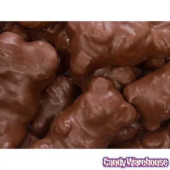 Chocolate Covered Jumbo Gummy Bears: 5LB Box -Candy Promotion Sale chocolate covered jumbo gummy bears 5lb box candy warehouse 3