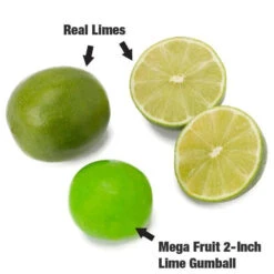 Dubble Bubble Mega Fruit 2-Inch Gumballs: 138-Piece Case -Candy Promotion Sale dubble bubble mega fruit 2 inch gumballs 138 piece case candy warehouse 3 7e3b768f 881f 41d7 b53e 9ee6843e3179