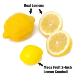 Dubble Bubble Mega Fruit 2-Inch Gumballs: 138-Piece Case -Candy Promotion Sale dubble bubble mega fruit 2 inch gumballs 138 piece case candy warehouse 4 1db9c377 69f2 4258 8701 0023d62dfae6