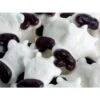 Gustaf's White & Black Gummy Cow Heads: 1KG Bag