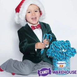 Jelly Belly Candy Canes - Blueberry: 80-Piece Bucket 6 Jelly Belly Candy Canes - Blueberry: 80-Piece Bucket -Candy Promotion Sale jelly belly candy canes blueberry 80 piece bucket candy warehouse 3