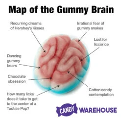 Jelly Filled Gummy Brains: 1KG Bag -Candy Promotion Sale jelly filled gummy brains 1kg bag candy warehouse 3