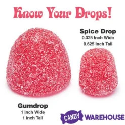 Jumbo Gumdrops Candy: 5LB Bag -Candy Promotion Sale jumbo gumdrops candy 5lb bag candy warehouse 4 0840f1f6 a14c 40b8 a375 89b9c6d7583d