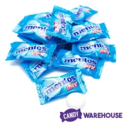 Mentos Mint Candy Single Packs: 385-Piece Bag 7 Mentos Mint Candy Single Packs: 385-Piece Bag -Candy Promotion Sale mentos mint candy single packs 385 piece bag candy warehouse 4