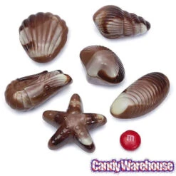 Nautilus Belgian Chocolate Seashells: 18-Piece Box -Candy Promotion Sale nautilus belgian chocolate seashells 18 piece box candy warehouse 4
