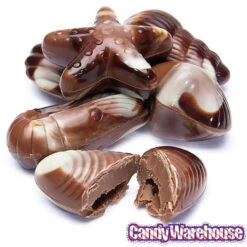 Nautilus Belgian Chocolate Seashells: 18-Piece Box -Candy Promotion Sale nautilus belgian chocolate seashells 18 piece box candy warehouse 5