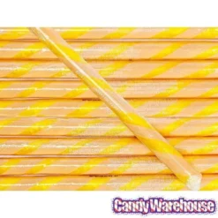 Salted Caramel Hard Candy Sticks: 100-Piece Box -Candy Promotion Sale salted caramel hard candy sticks 100 piece box candy warehouse 3