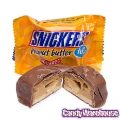 Snickers Fun Size Candy Bars Assortment: 45-Piece Bag -Candy Promotion Sale snickers fun size candy bars assortment 45 piece bag candy warehouse 3