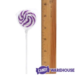 Swipple Pops Petite Swirl Ripple Lollipops - Purple Grape: 60-Piece Tub -Candy Promotion Sale swipple pops petite swirl ripple lollipops purple grape 60 piece tub candy warehouse 4
